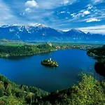 R&g * Жировница