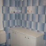 R&g * Жировница