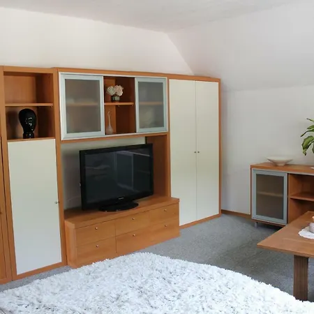 R&g Apartment Zirovnica