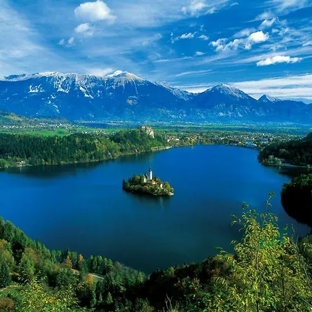 R&g * 지로브니차