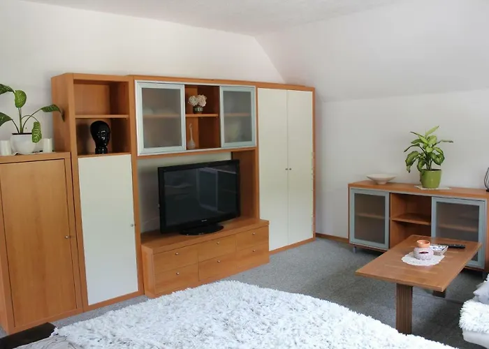 R&g Apartamento Zirovnica